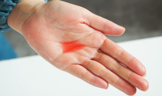 137348006_331681271286080_8487934721692109418_n